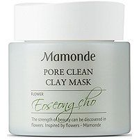 Pore Clean Clay Mask