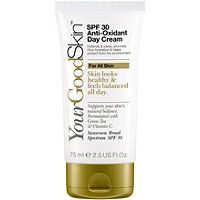 SPF 30 Anti-Oxidant Day Cream