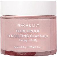 Pore Proof Perfecting Clay Mask