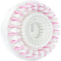 Daily Radiance Brush Head