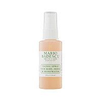 Travel Size Facial Spray With Aloe, Herbs and Rosewater